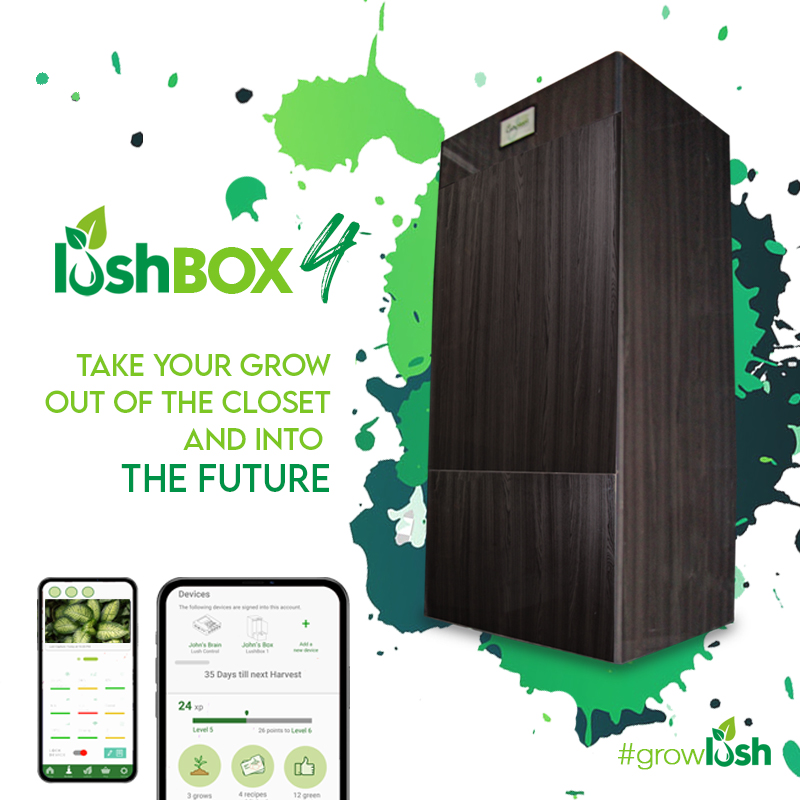 LUSH - LushBOX4 - closed - Insta